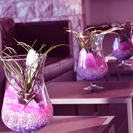 Otel Th - Cenacolo Assisi